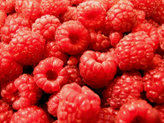 Alaska raspberries